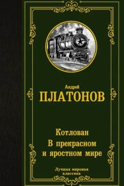 Cover: Kotlovan. V prekrasnom i yarostnom mire