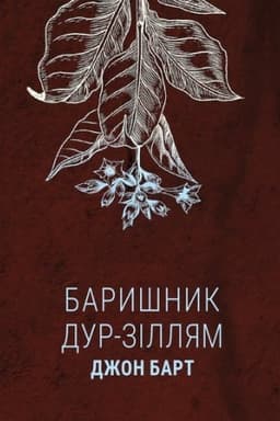 Cover: Baryshnyk dur-zillyam
