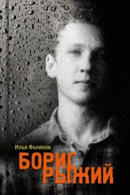Cover: Boris Ryzhij. Divij kamen′