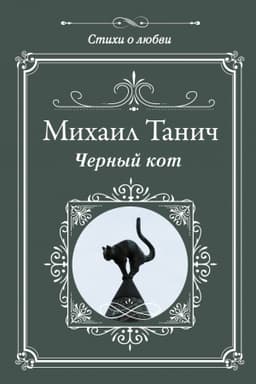 Buchcover: Černyj kot