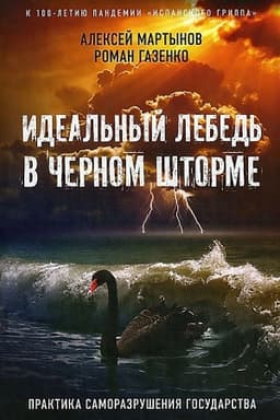 Cover: Ideal′nyj lebed′ v chernom shtorme. Praktika samorazrusheniya gosudarstva