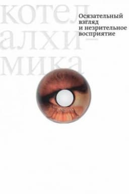 Cover: Kotel alchimika. Osnovatel′nyj vzglyad i nezritel′noe vospriyatie