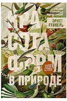 Обложка: Красота форм в природе. Альбом старинных иллюстраций