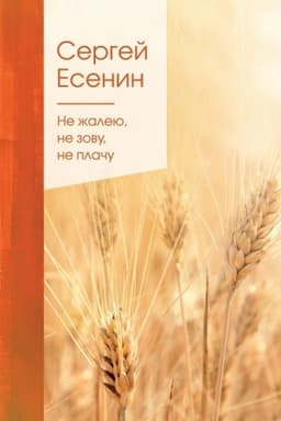Cover: Ne zhaleyu, ne zovu, ne plachu