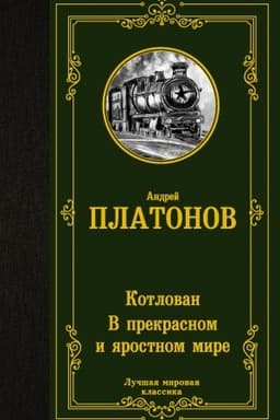Buchcover: Kotlovan. V prekrasnom i jarostnom mire