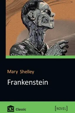 Buchcover: Frankenstein; or, The Modern Prometheus