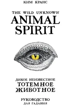 Обложка: The Wild Unknown Animal Spirit. Дикое Неизвестное тотемное животное. Колода-оракул. 63 карты и руководство в подарочном футляре