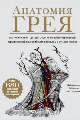 Cover: Anatomyya Hreya : anatomycheskye strukturы s oryhynal′noy y sovremennoy termynolohyey na anhlyyskom, latynskom y russkom yazыkach (Ukrayina)