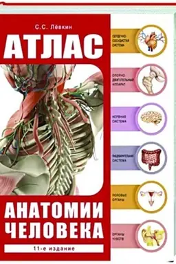 Cover: Atlas anatomii cheloveka