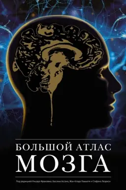 Обложка: Большой атлас мозга