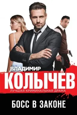 Buchcover: Boss v zakone