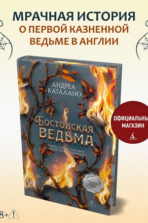 Buchcover: Bostonskaja ved′ma