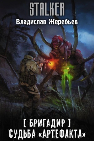 Buchcover: Brigadir. Sud′ba Artefakta