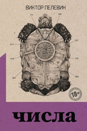 Buchcover: Čisla