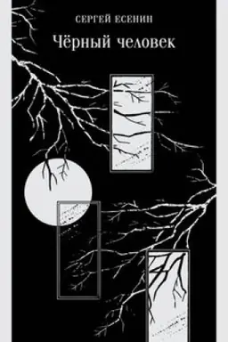 Buchcover: Čërnyj čelovek