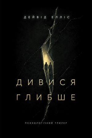 Buchcover: Dyvysja hlybše