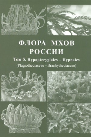 Buchcover: Flora mchov Rossii. Tom 5. Hypopterygiales - Hypnales (Plagiotheciaceae - Brachytheciaceae)