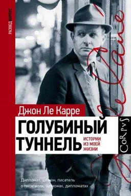 Cover: Golubinyj tunnel′