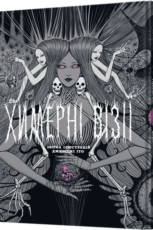 Buchcover: CHymerni viziï