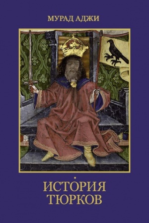 Buchcover: Istorija tjurkov
