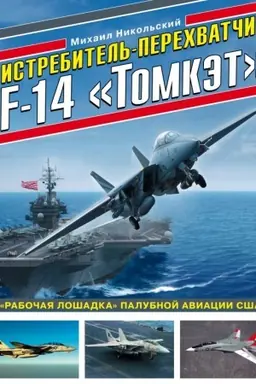 Обложка: Истребитель-перехватчик F-14 «Томкэт». «Рабочая лошадка» палубной авиации США