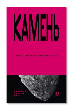 Buchcover: Kamen′. Ėkologija nečelovečeskogo