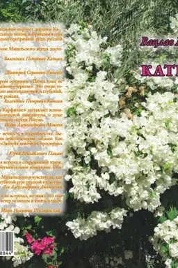 Buchcover: Katen′ka Povesti