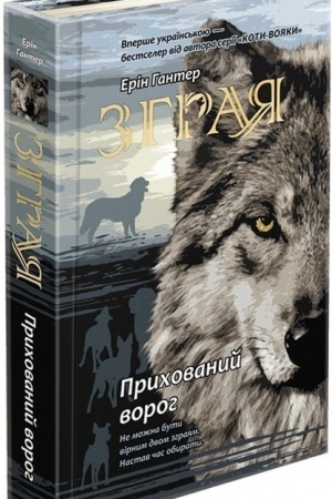 Buchcover: Knyha 2. Prychovanyj voroh