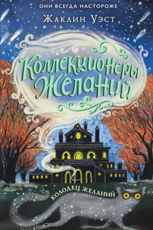 Обложка: Колодец желаний