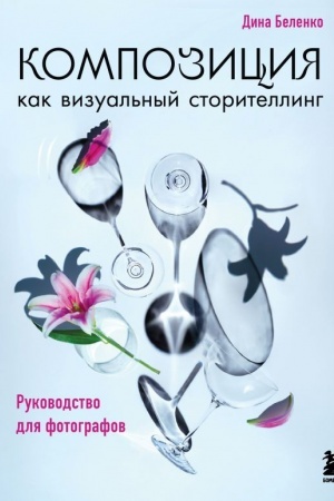 Cover: Kompoziciya kak vizual′nyj storitelling: rukovodstvo dlya fotografov (novoe oformlenie)