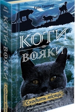 Buchcover: Koty vojaky. Nove proroctvo. Knyha 2. Schodyt′ misjac′