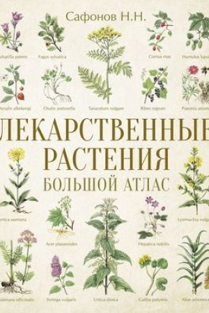 Cover: Lekarstvennye rasteniya. Bol′shoj atlas