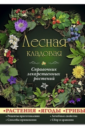Cover: Lesnaya kladovaya