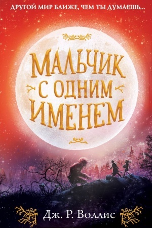 Buchcover: Mal′čik s odnim imenem