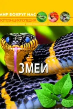 Buchcover: Mir vokrug nas. Zmei