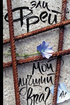 Buchcover: Moj lučšij vrag