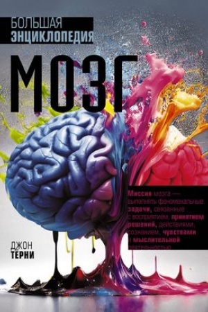Cover: Mozg. Bol′shaya enciklopediya