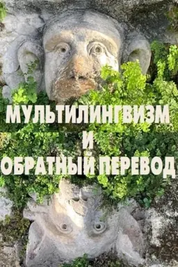 Buchcover: Mul′tilingvizm i obratnyj perevod / otv. red. E.E. Dmitrieva, M.V. Čerkašina