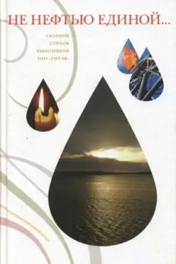 Buchcover: Ne neft′ju edinoj…
