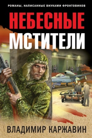 Buchcover: Nebesnye mstiteli