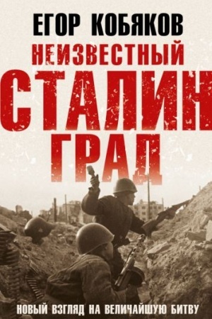 Cover: Neizvestnyj Stalingrad. Novyj vzglyad na velichajshuyu bitvu