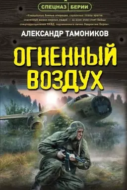 Buchcover: Ognennyj vozduch