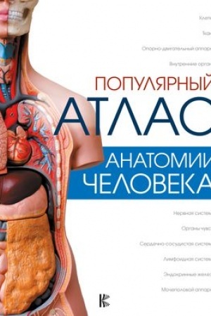 Cover: Populyarnyj atlas anatomii cheloveka