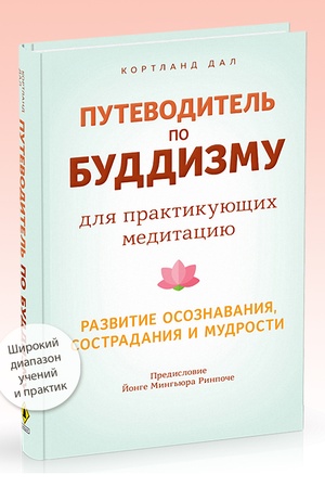 Cover: Putevoditel′ po buddizmu dlya praktikuyushhich meditaciyu