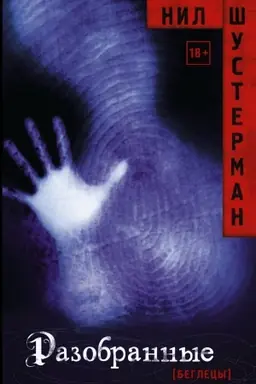 Buchcover: Razobrannye