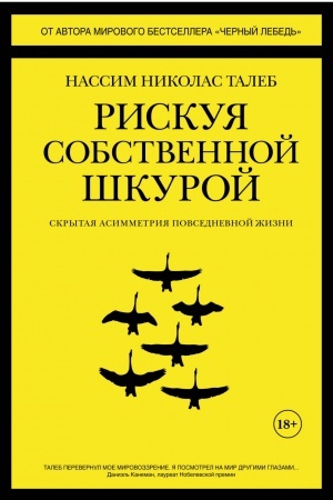 Buchcover: Riskuja sobstvennoj škuroj. Skrytaja asimmetrija povsednevnoj žizni