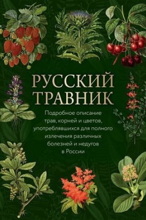 Buchcover: Russkij travnik