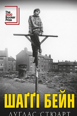 Cover: SHaggi Beyn