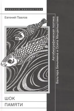 Buchcover: Šok pamjati