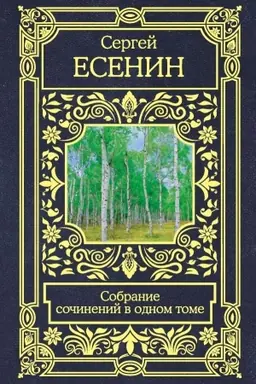 Buchcover: Sobranie sočinenij v odnom tome